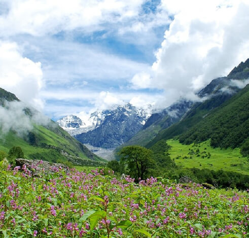 Dzukou Valley, Nagaland A Valley of Flowers clouds and mountains