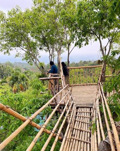 Mawlynnong, Meghalaya  Asia's Cleanest Village bamboos structures in forest